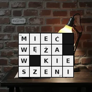 Hasło krzyżówkowe przesadnie oszczędzać nie umieć się dzielić swoim majątkiem być skąpym - mieć węża w kieszeni – rozwiązanie, synonimy, podpowiedzi i definicje krzyżówkowe